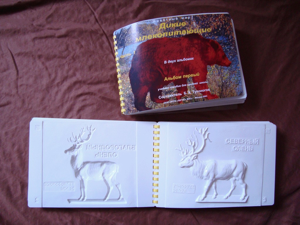 Рельефно графическое изображение