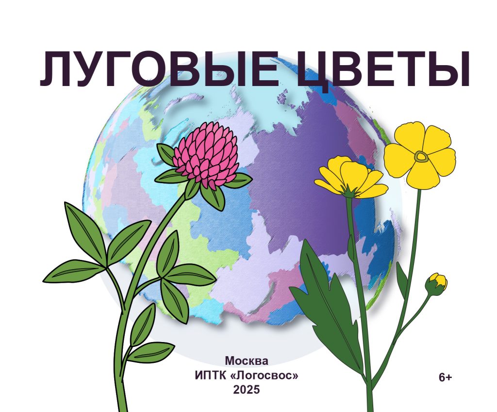 Луговые цветы