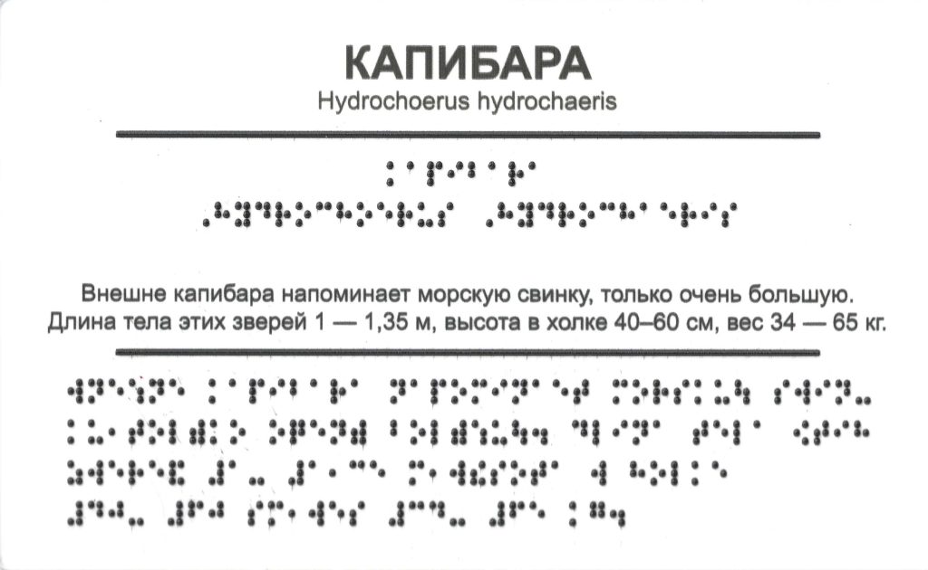 Табличка с описанием капибары