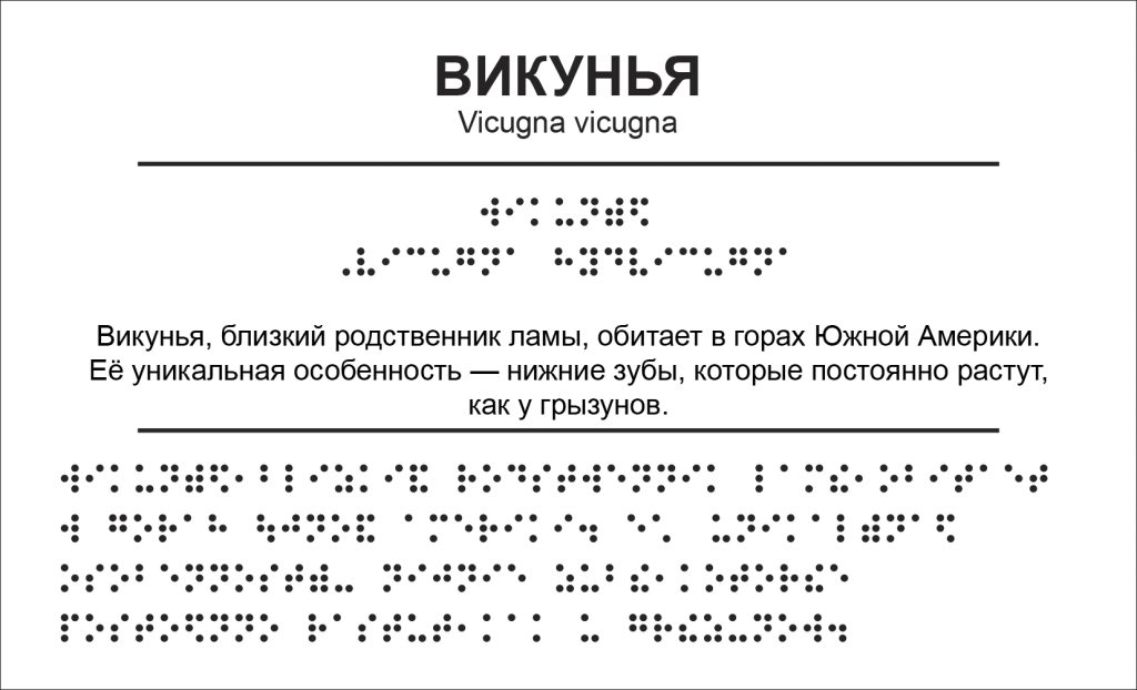 Табличка с описанием викуньи