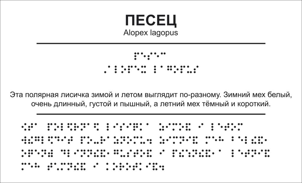 Табличка с описанием песца