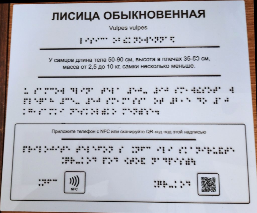 На фото: табличка с описанием лисицы обыкновенной, снабженная NFC меткой и QR кодом